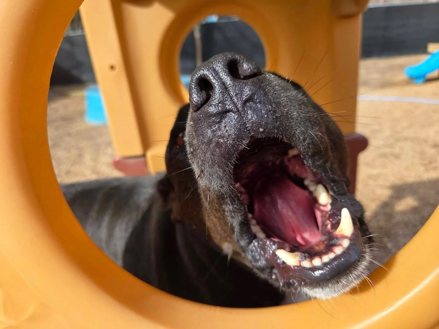 Woooooo it&rsquo;s Monday! 📢😁