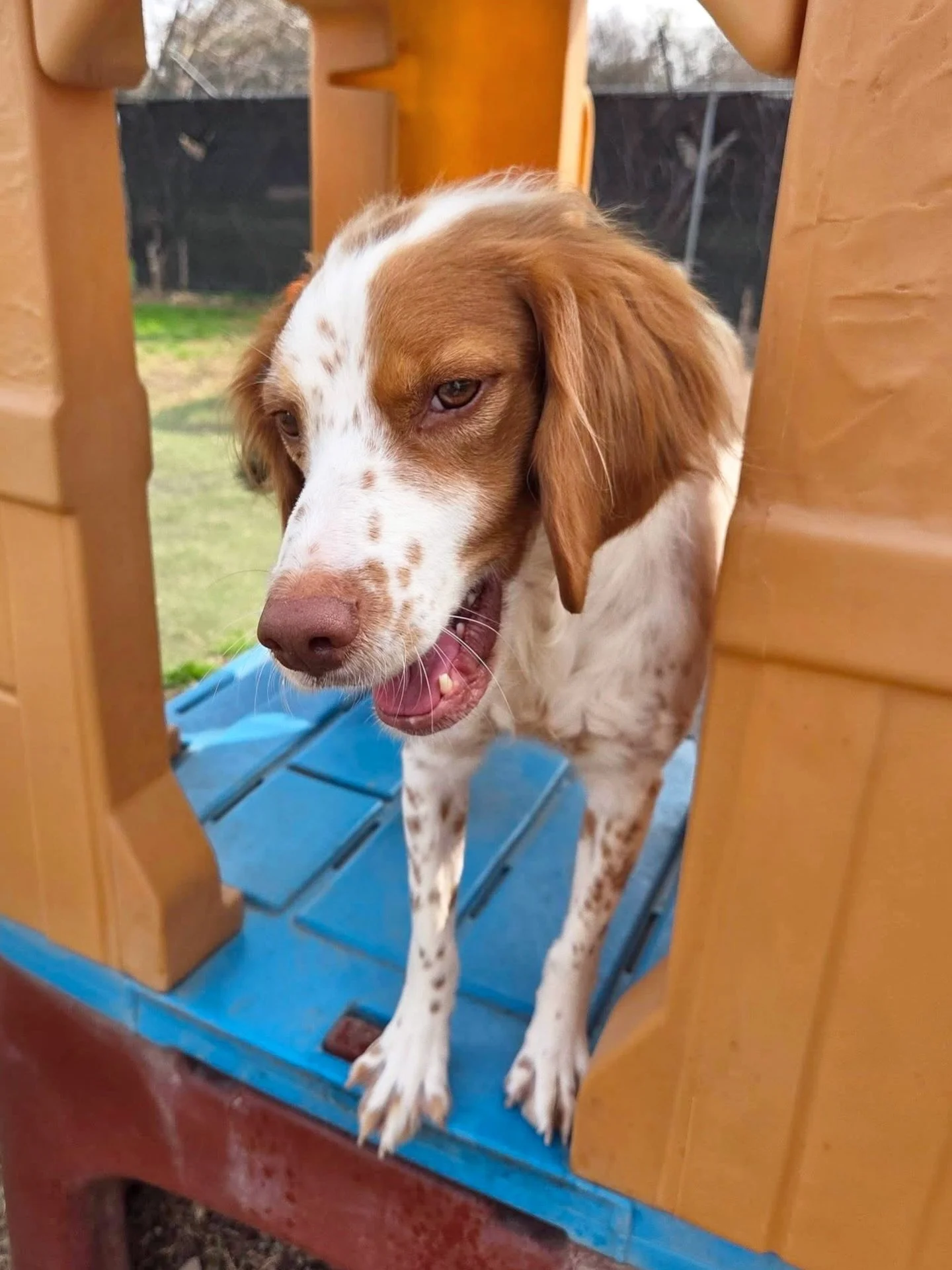 Precious little babies 💕