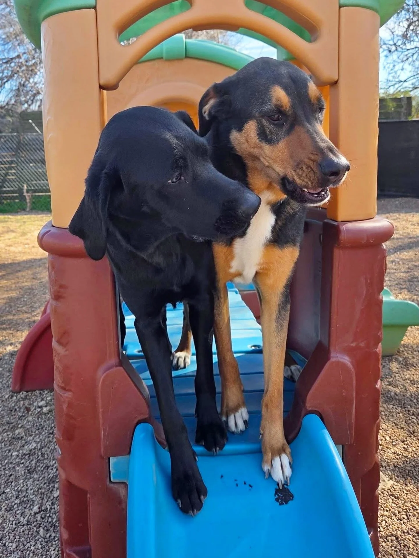 The playscapes are the place to be! 🎉