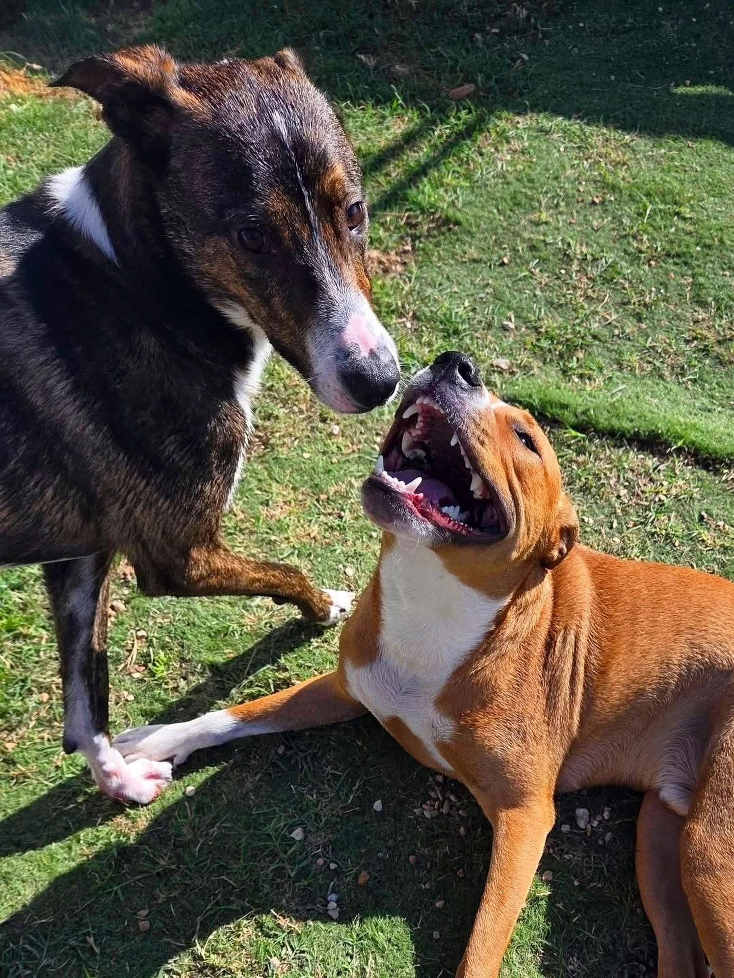 It&rsquo;s always a good day when you get to see your friends 💕