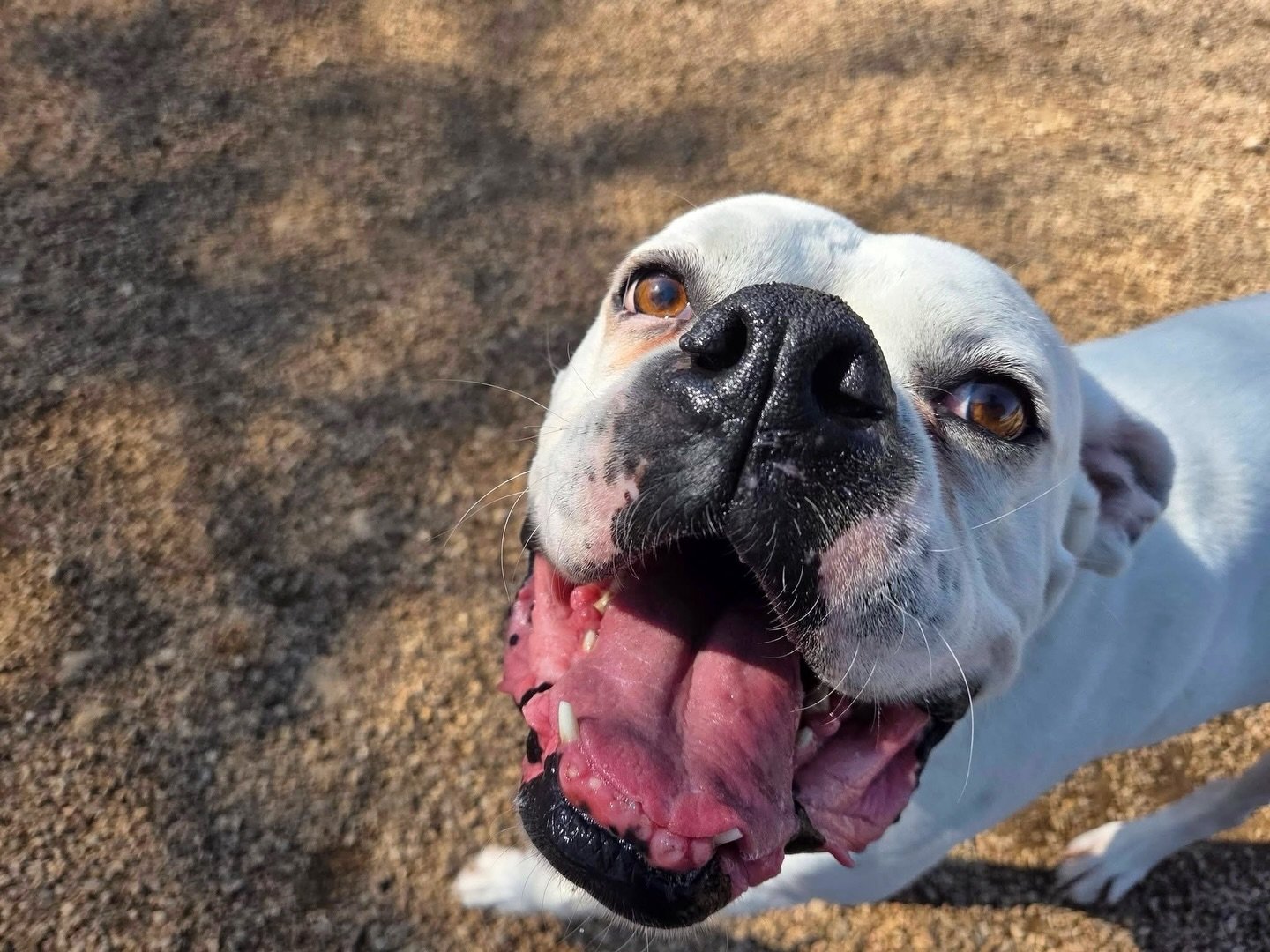 So happy to be back for another great week of daycare! 🎾