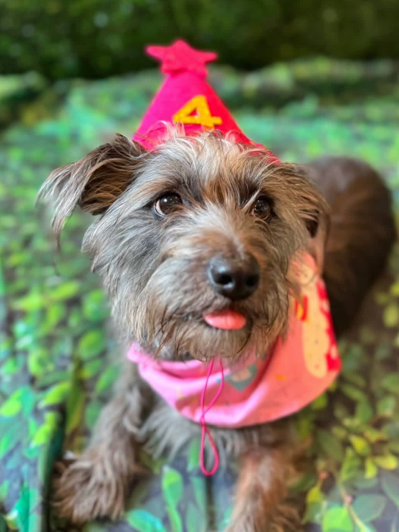 Pretty in pink 💗🌸🦩