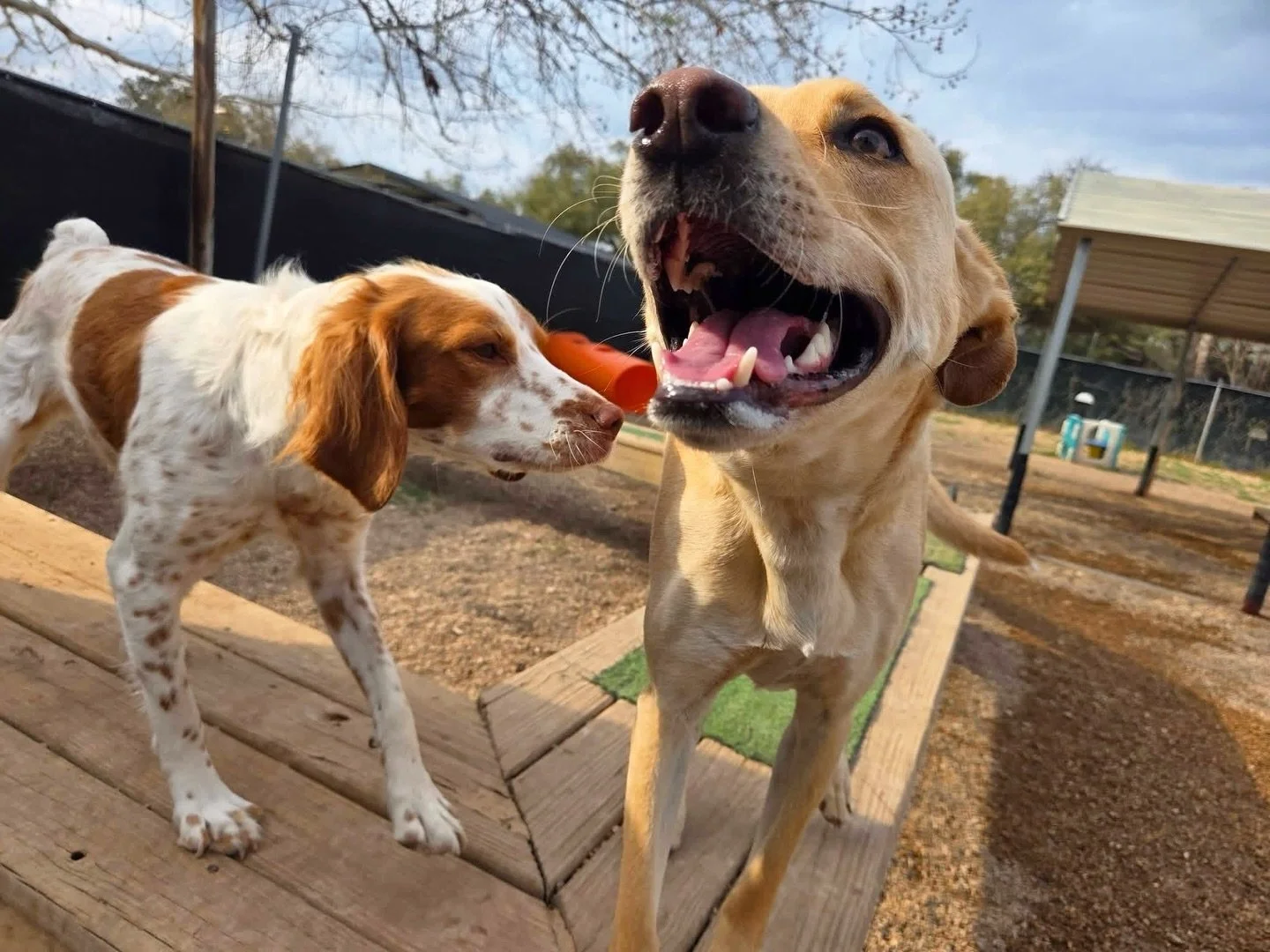 Happy happy Friday! 🐾🥳