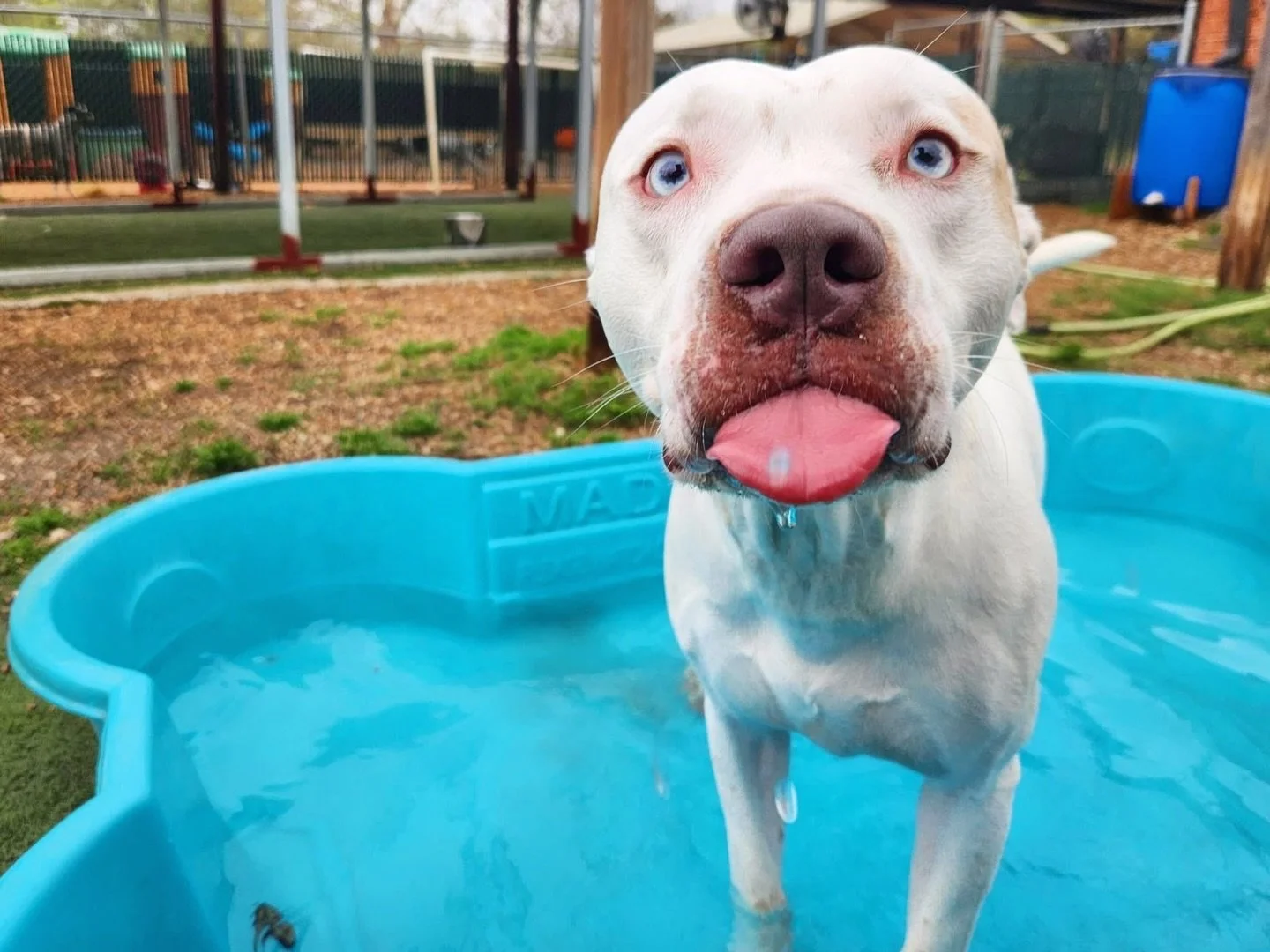 A mlem for your Monday 😋