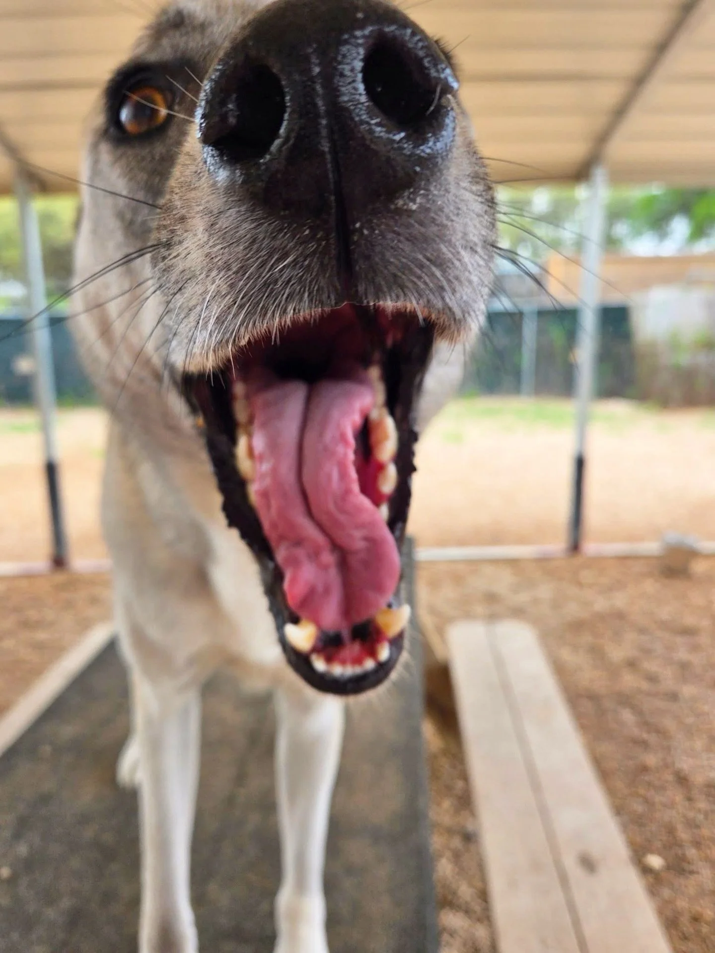 BIG smiles because it&rsquo;s finally Friday! 🥳