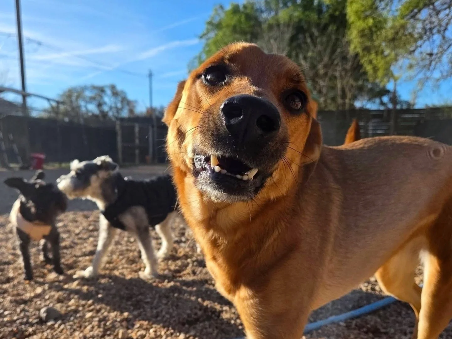 Ready for another great week! 🥳