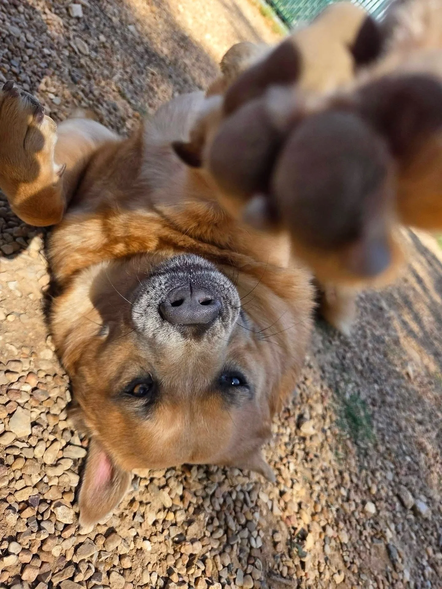 Streeeetch it out Latte! ☀️