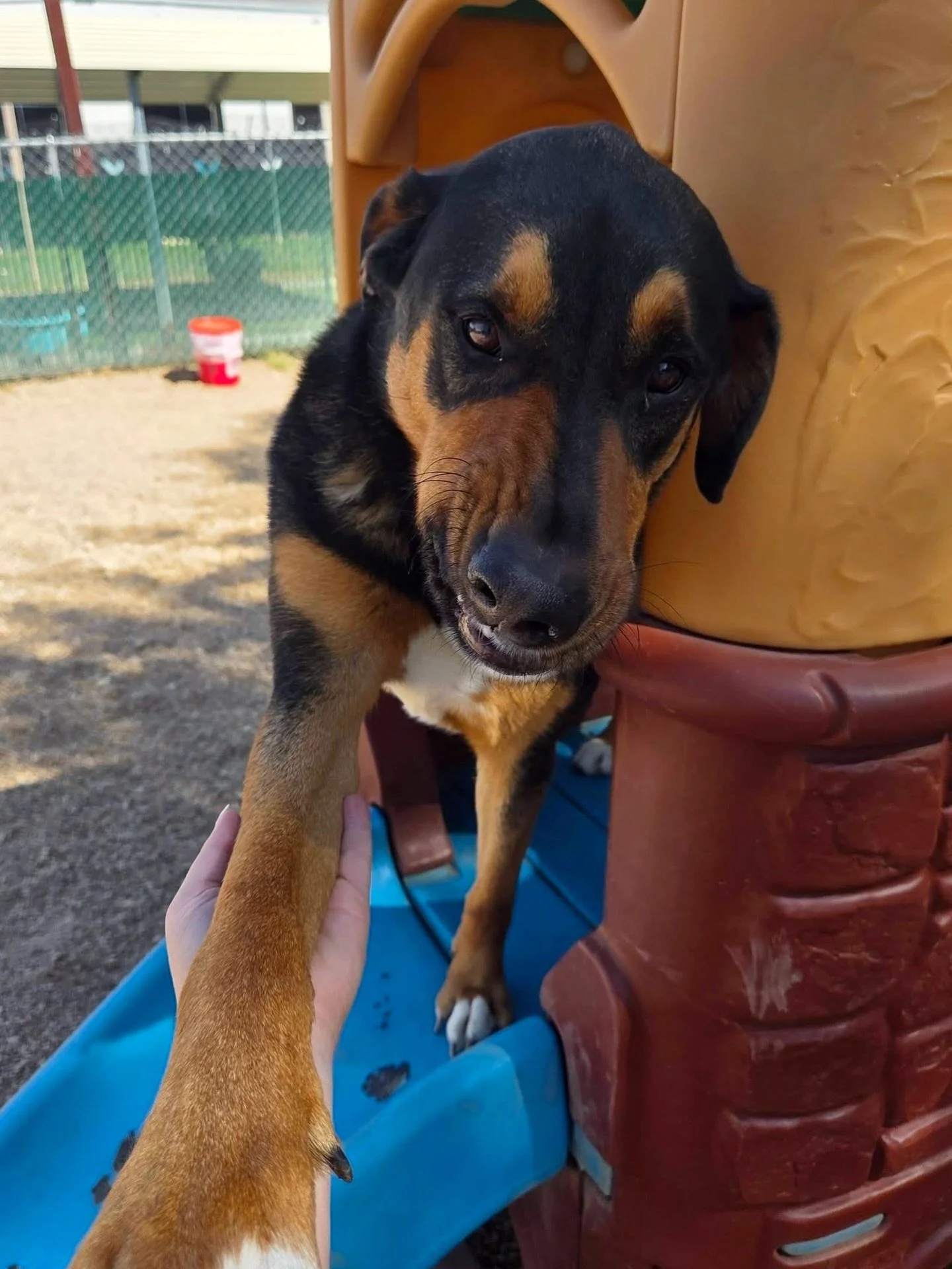 Piko said &ldquo;hey&rdquo; 😏