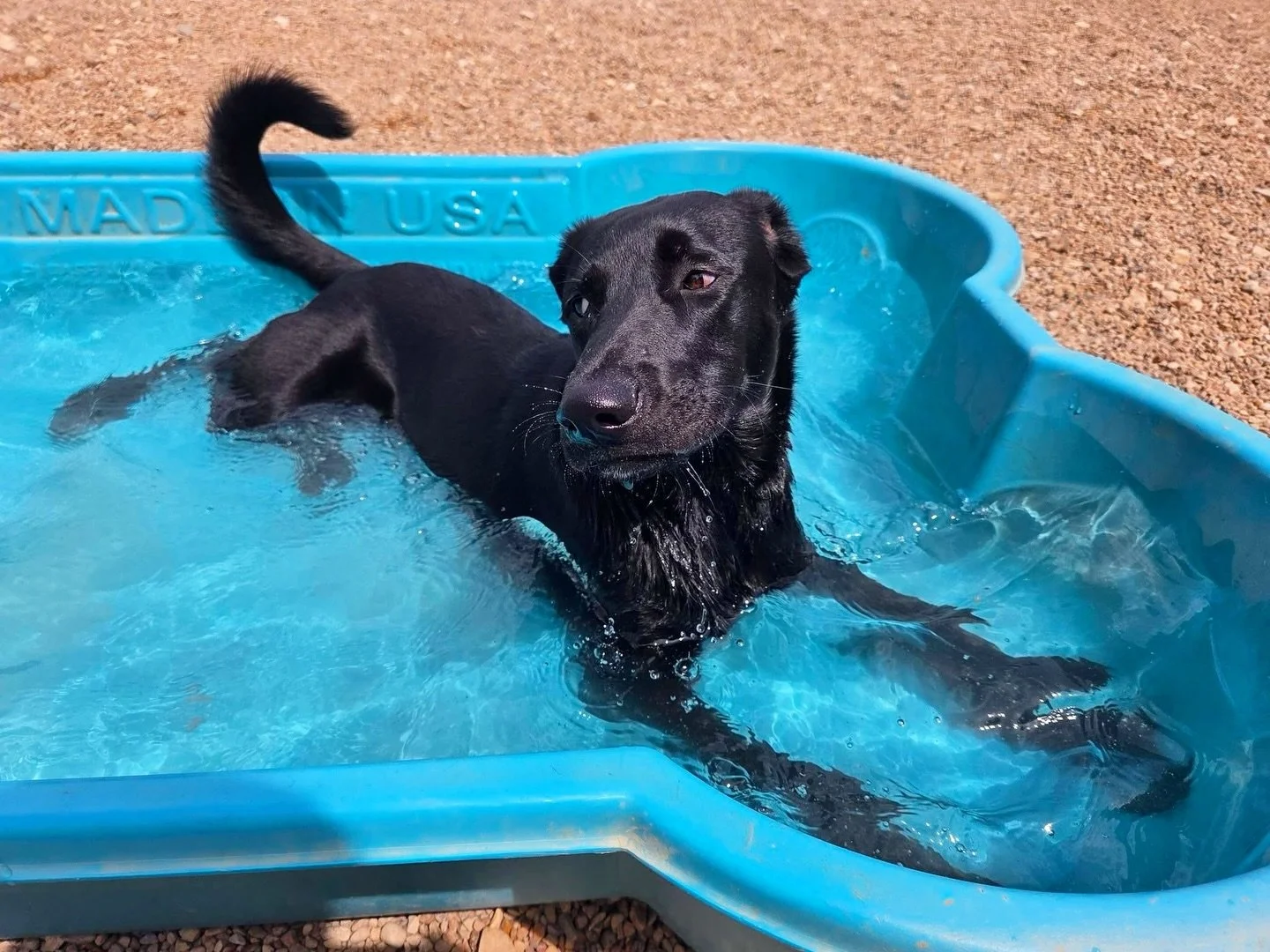 Pool time, best time 🐟🐠🐡