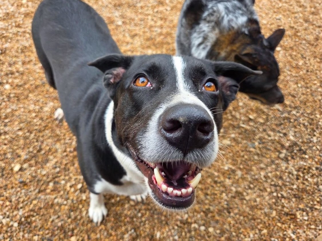 Throwback to last week&rsquo;s rain day! 🌧️🤿