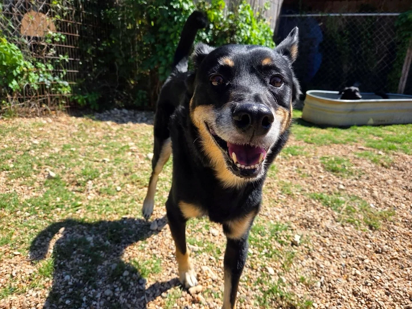 Happy happy Monday! 💕