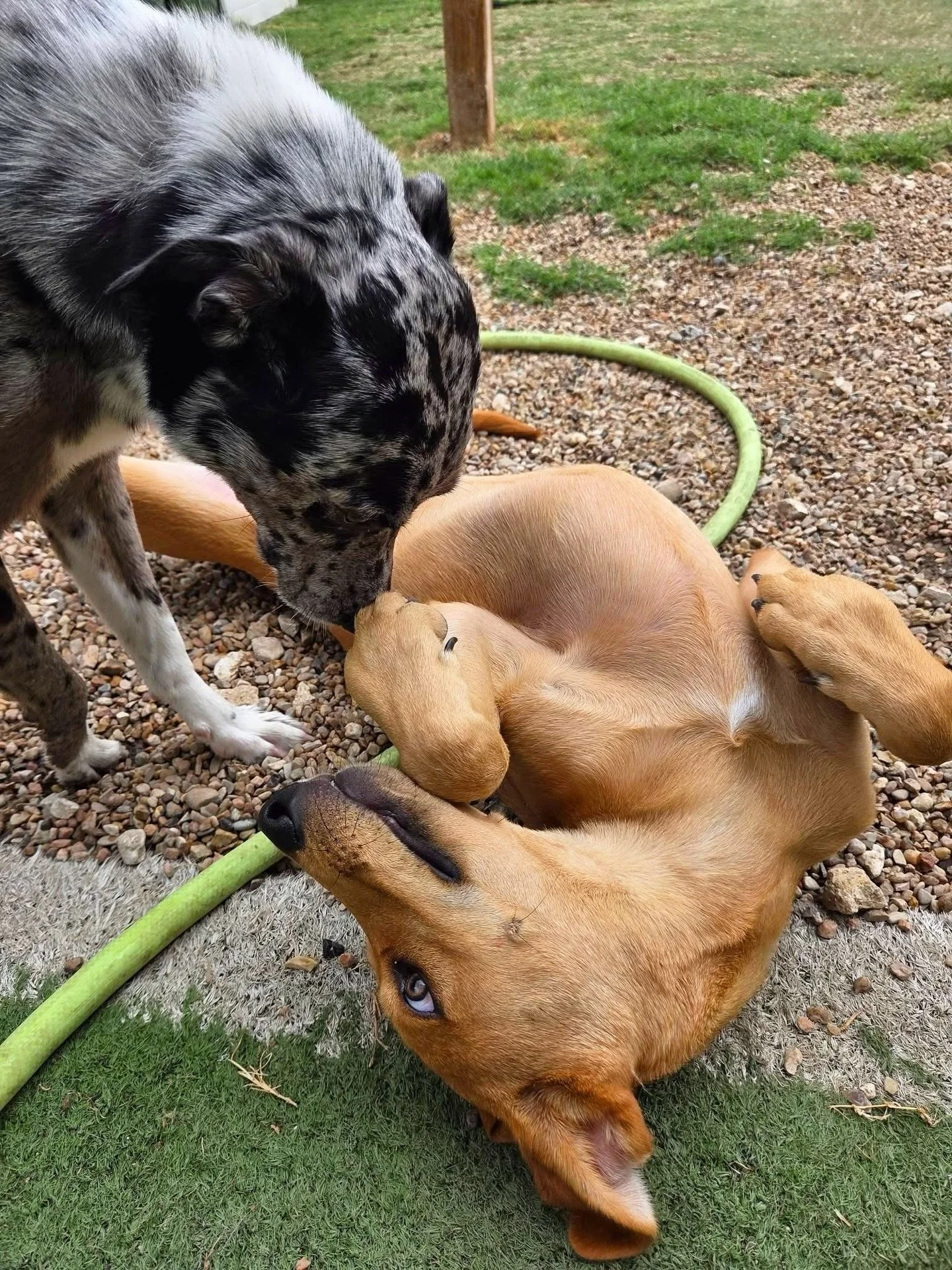 Happy little faces 🥰