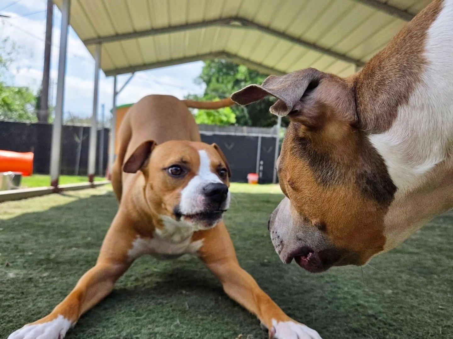 The happiest of Fridays ☀️