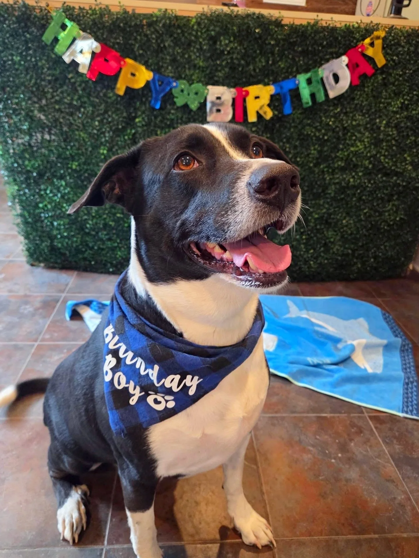 Throwback to last week&rsquo;s rainy Monday ☔️