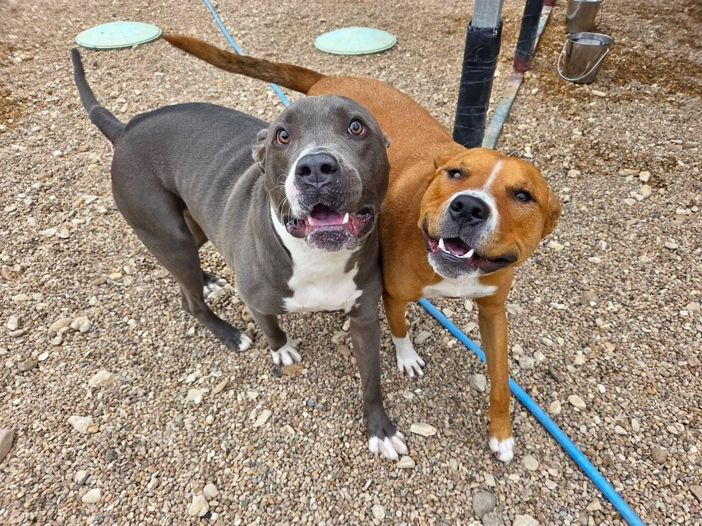 Happy Monday! This pack is ready for a new week! ☀️