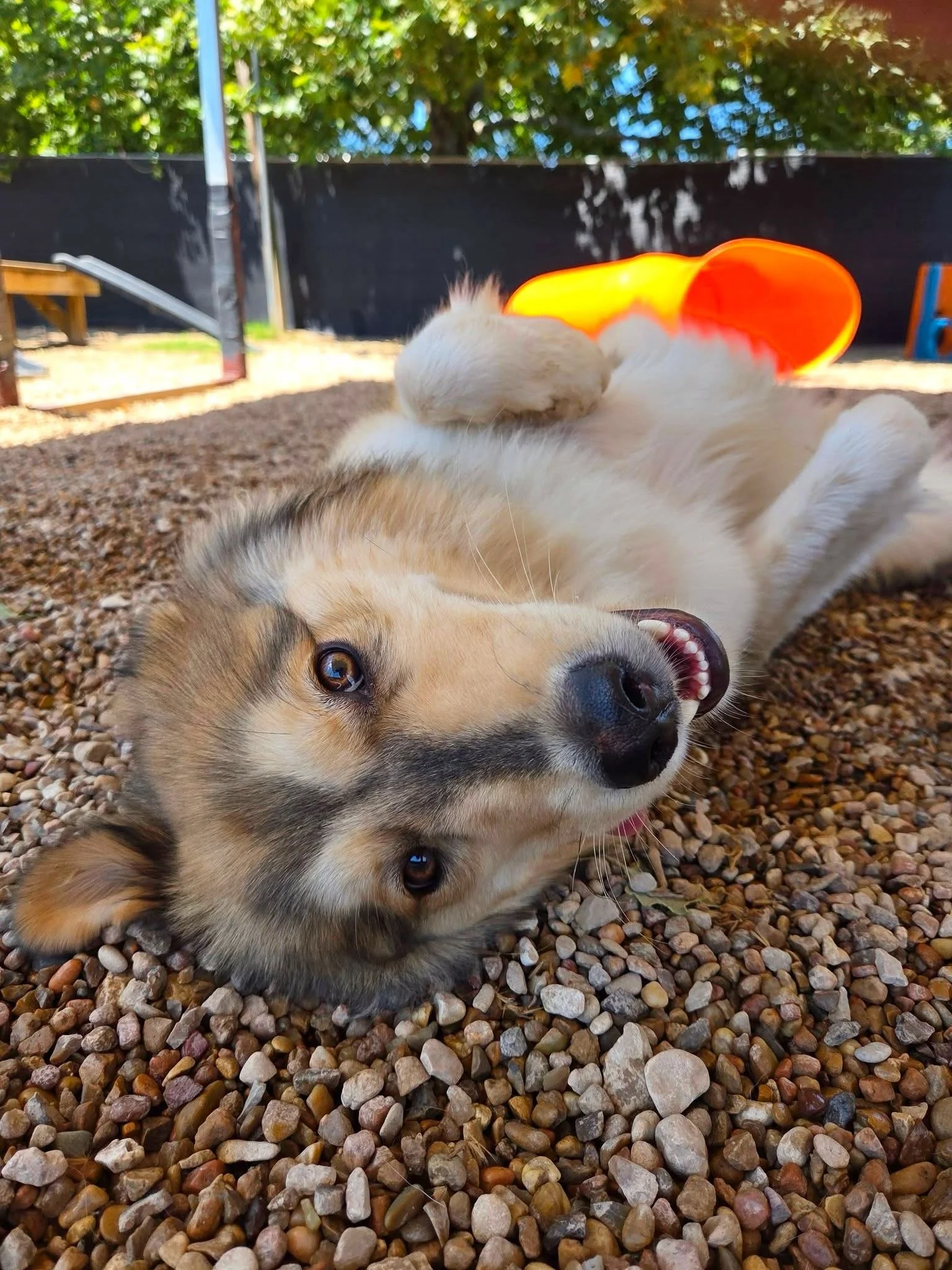 Happy Monday! 🐾