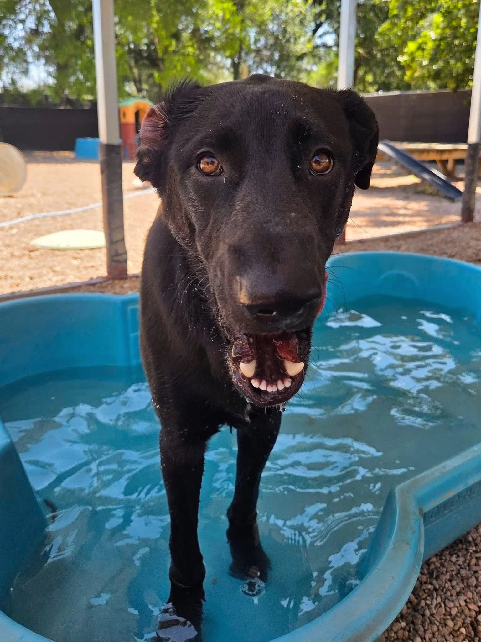 Bodhi is shocked it&rsquo;s almost Friday already! 🤯