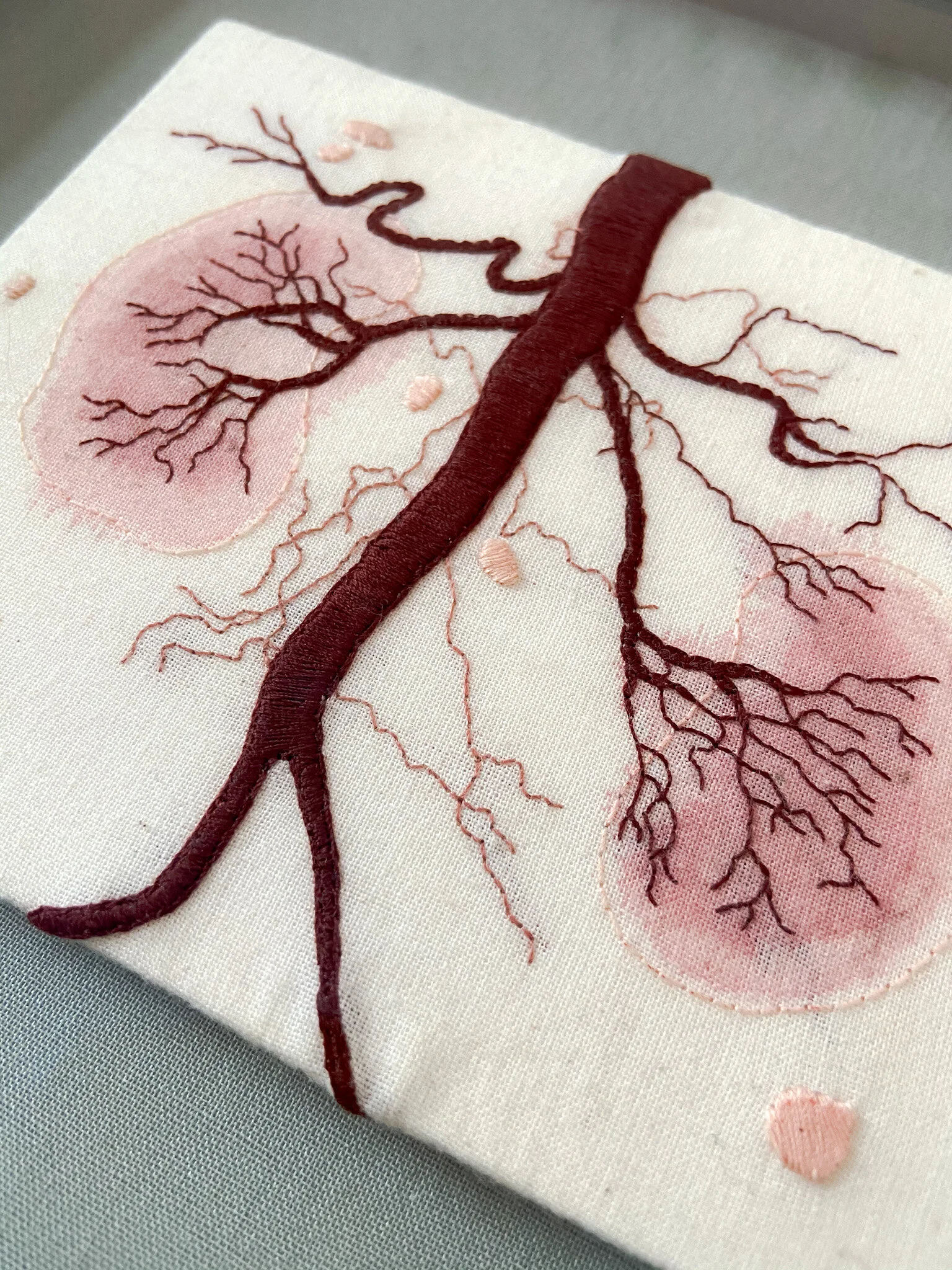 E6929103-082D-4E56-8E25-E3A3B4DC98CC