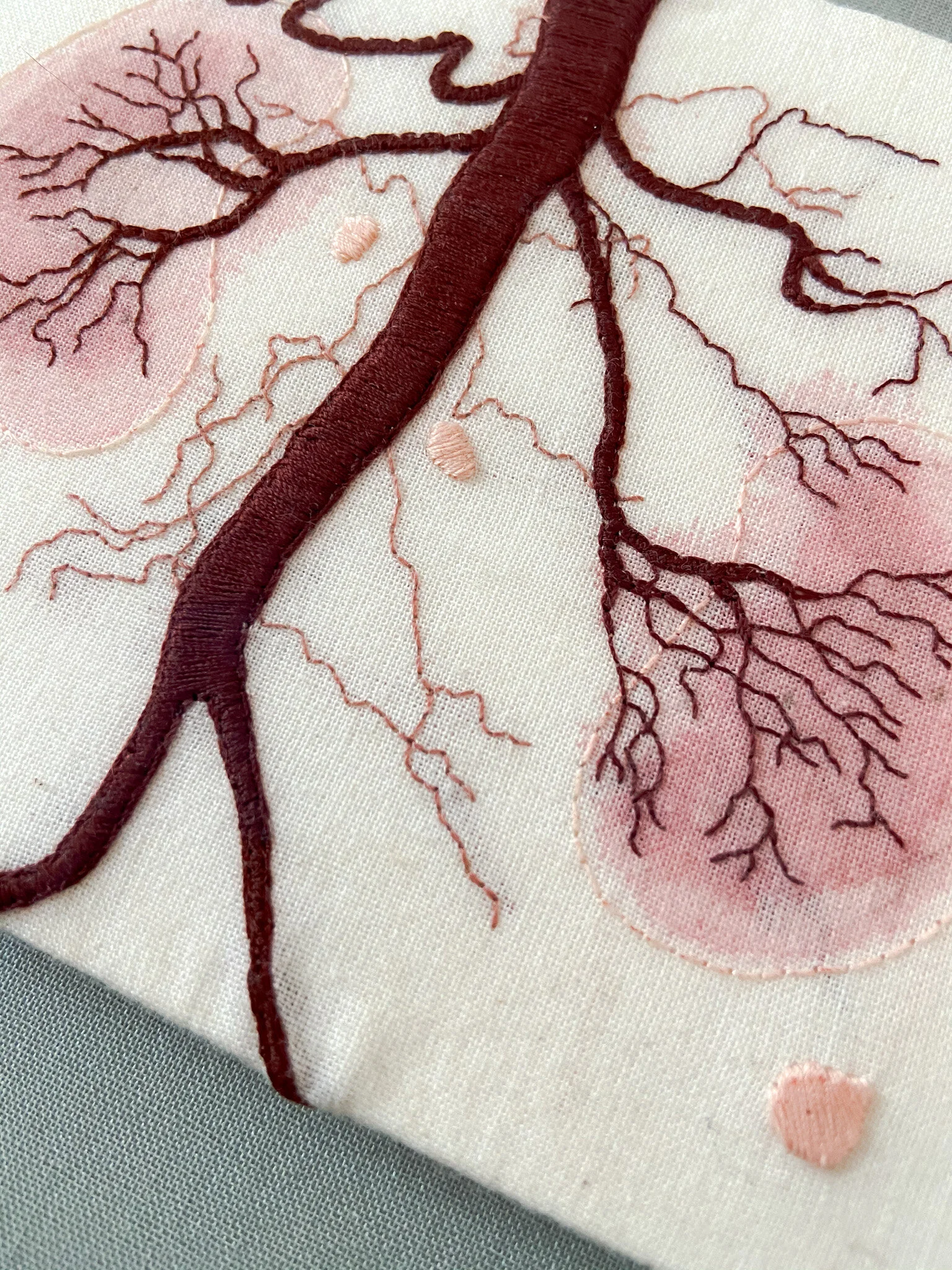 1090DD36-06D0-4B8B-9D62-3604BA3B562F