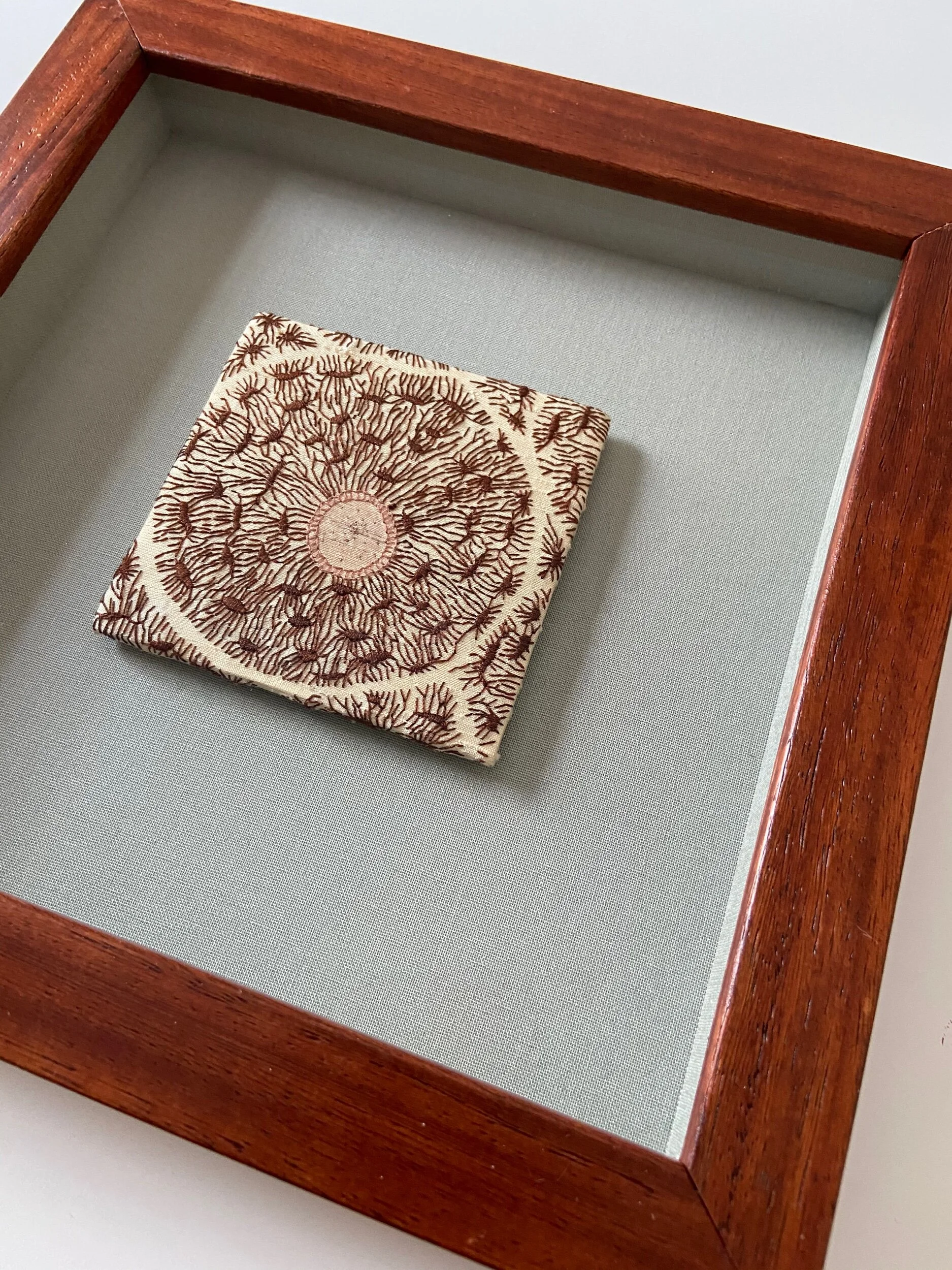 73CDF1A3-B12A-4DFF-B07E-117AC87A206C