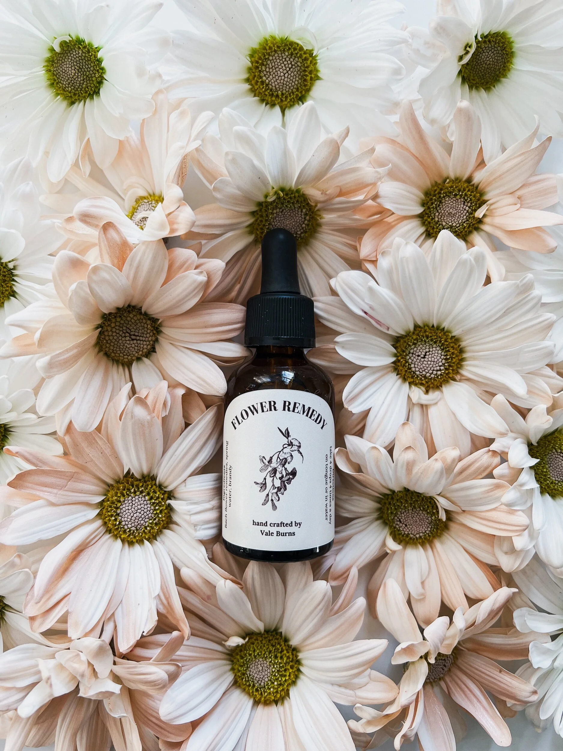 A4CF49E2-FC9E-46D7-8838-756A18F31347