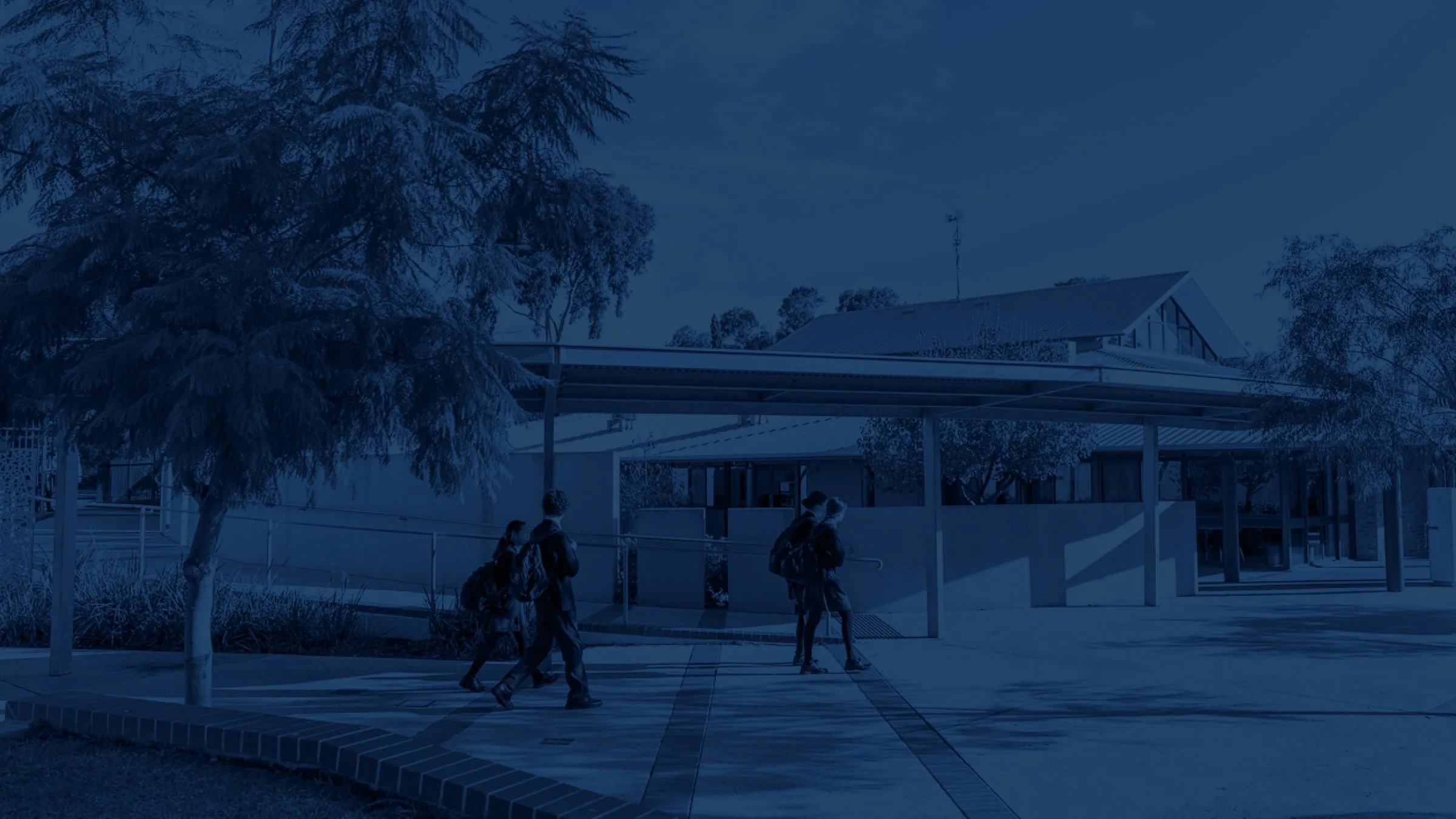 BlueBackground6.jpg