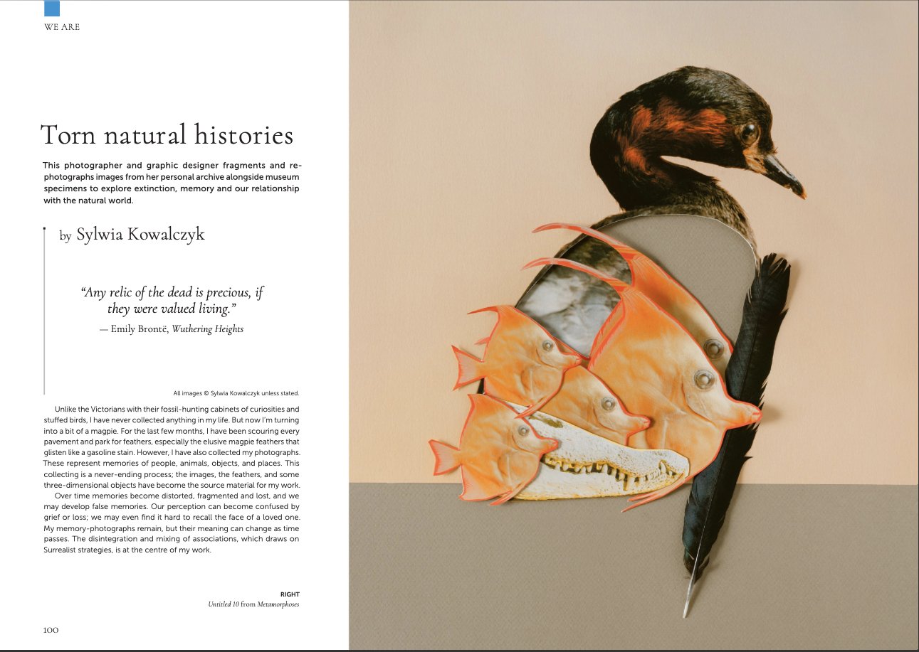 SylwiaKowalczyk_We are mag_1.jpg