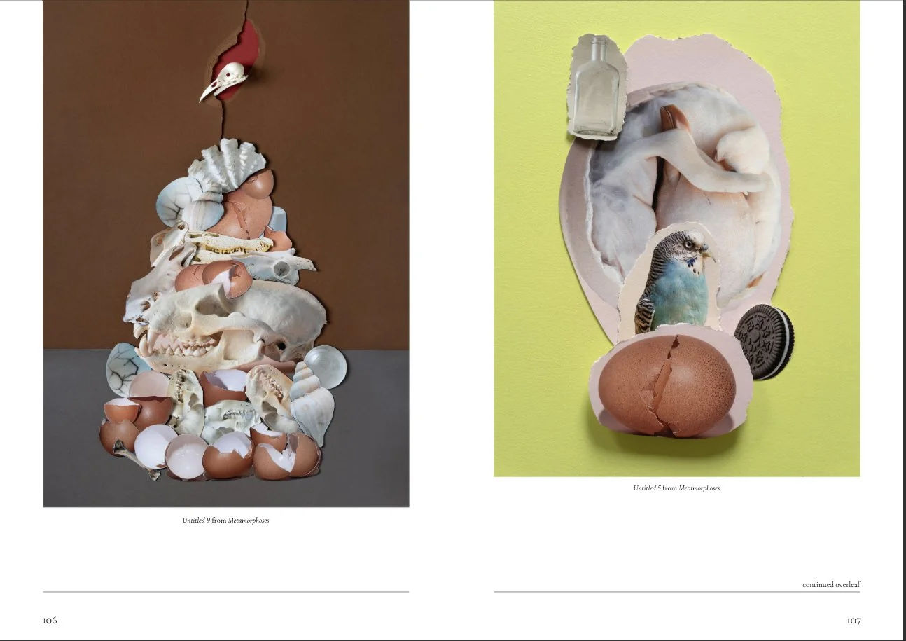 SylwiaKowalczyk_We are mag_3.jpg