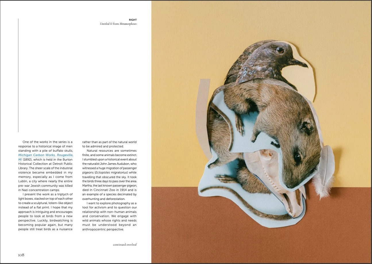 SylwiaKowalczyk_We are mag_5.jpg