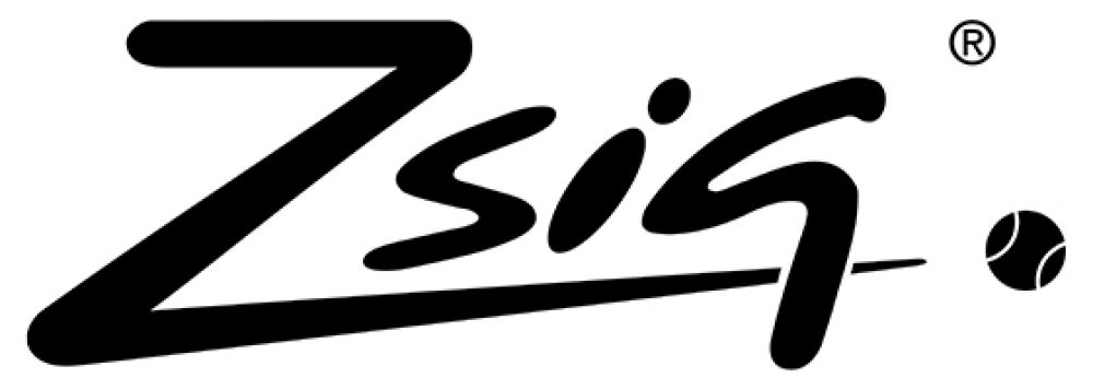 Zsig logo.jpg