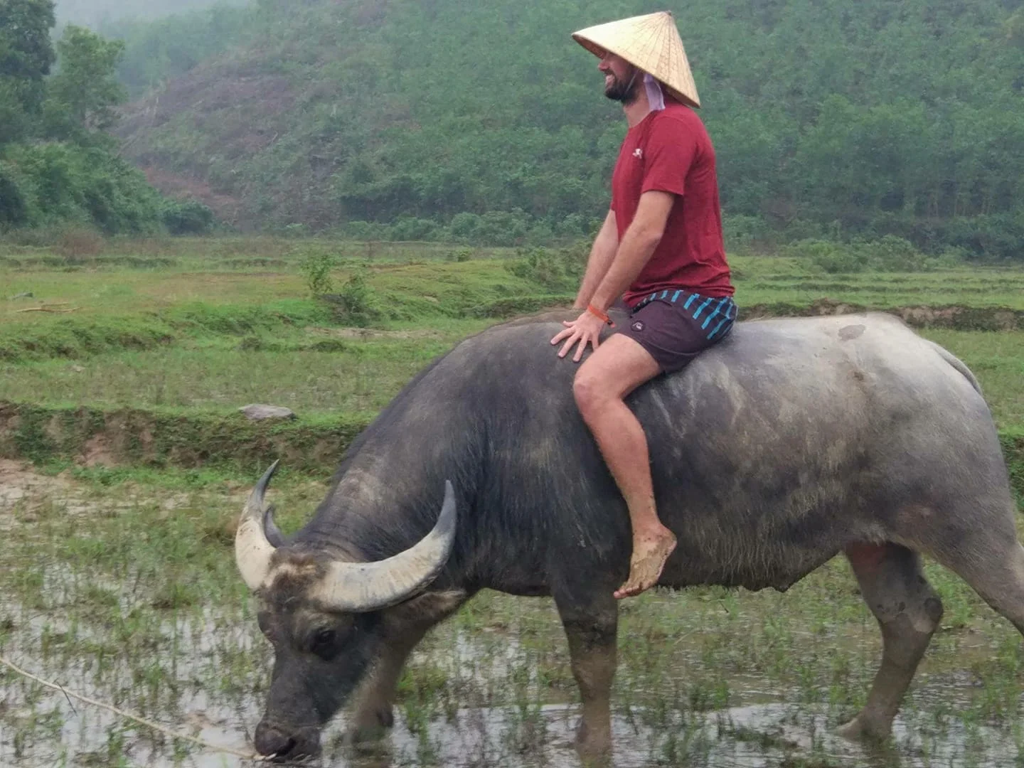 VietnamDonaldTrump.jpg
