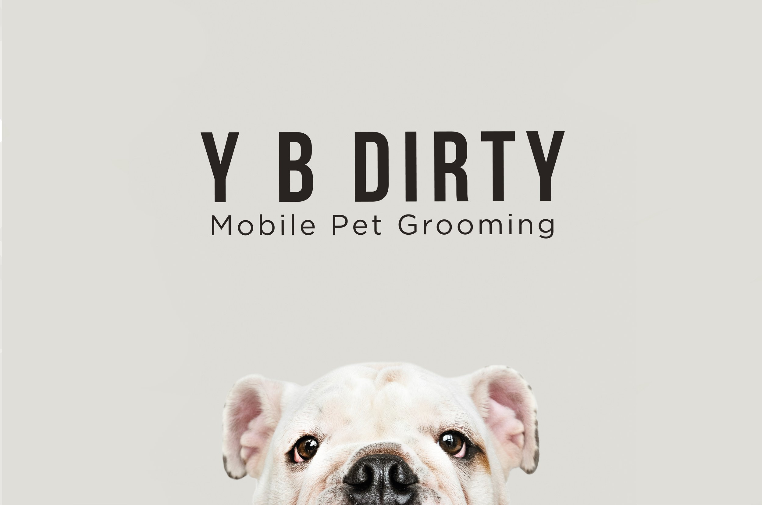 Y B DIRTY Cover-website-04.jpg