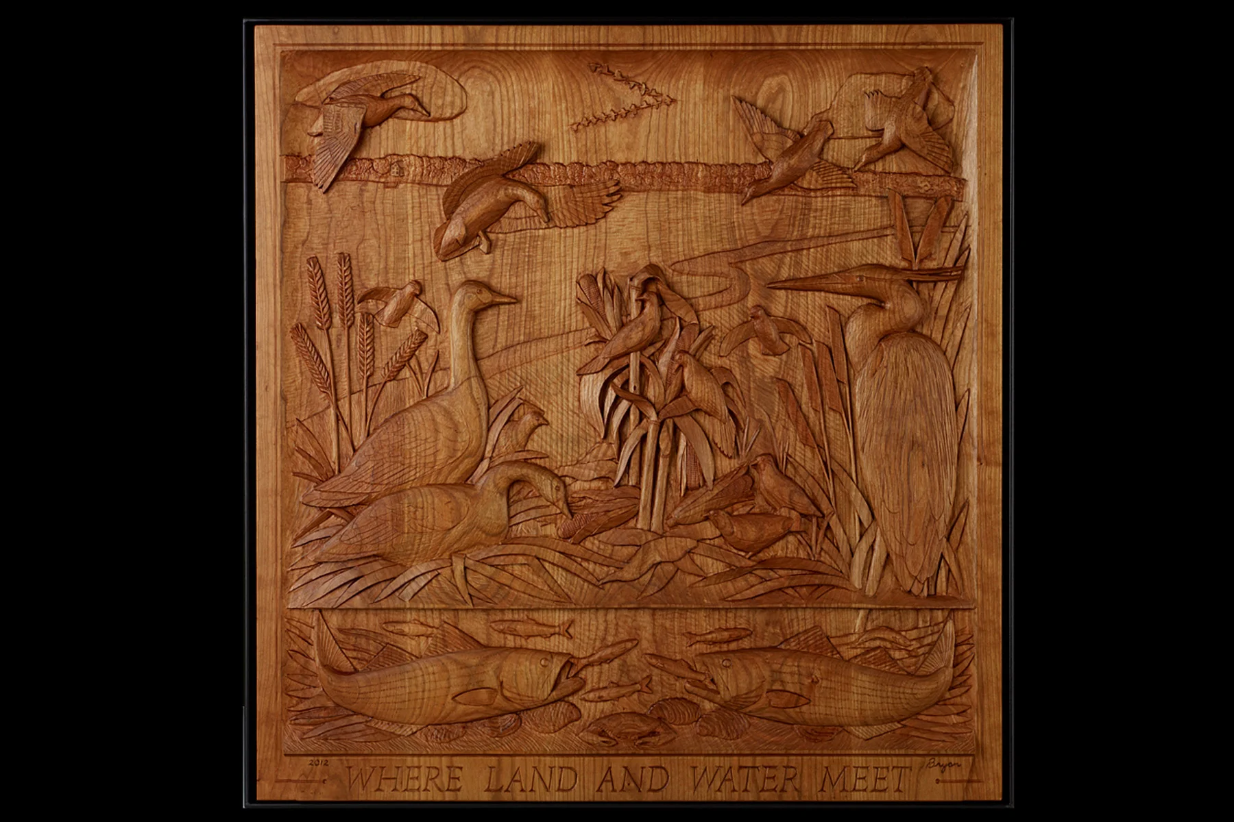 Where Land & Water Meet