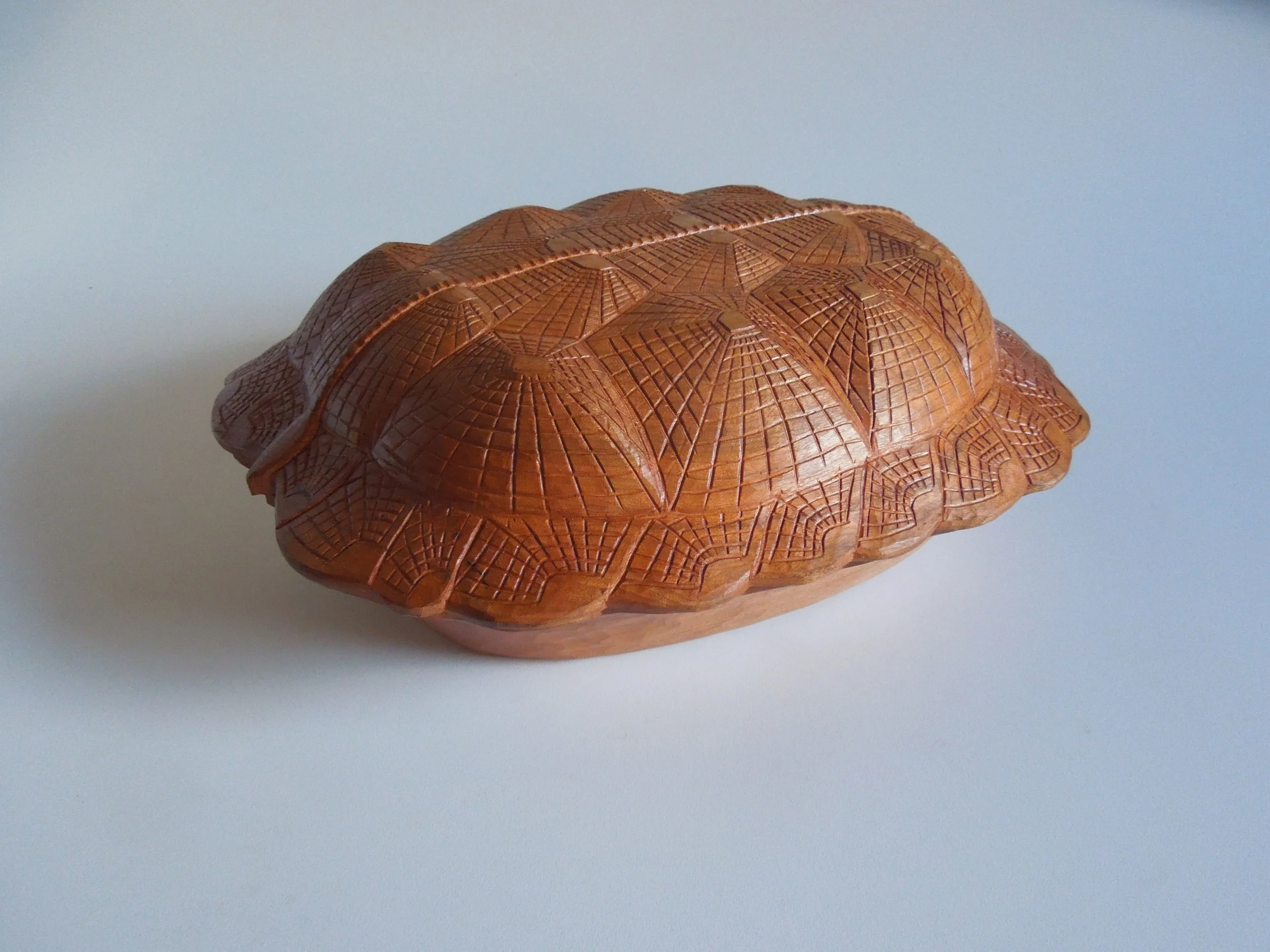 Wood Turtle