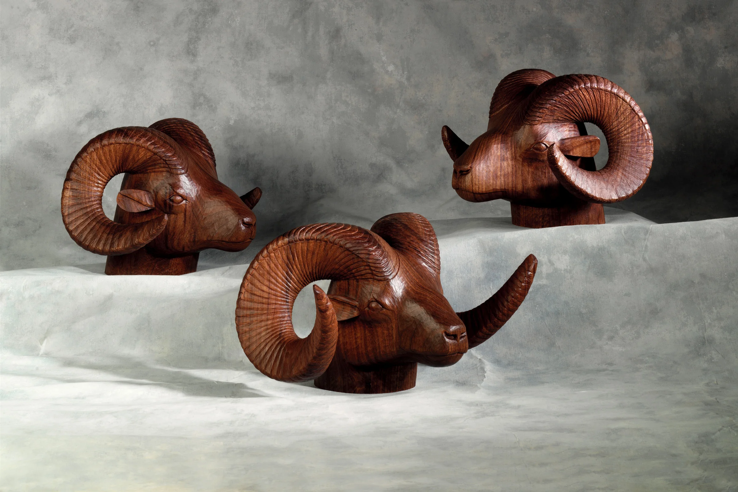 Big Horn Rams