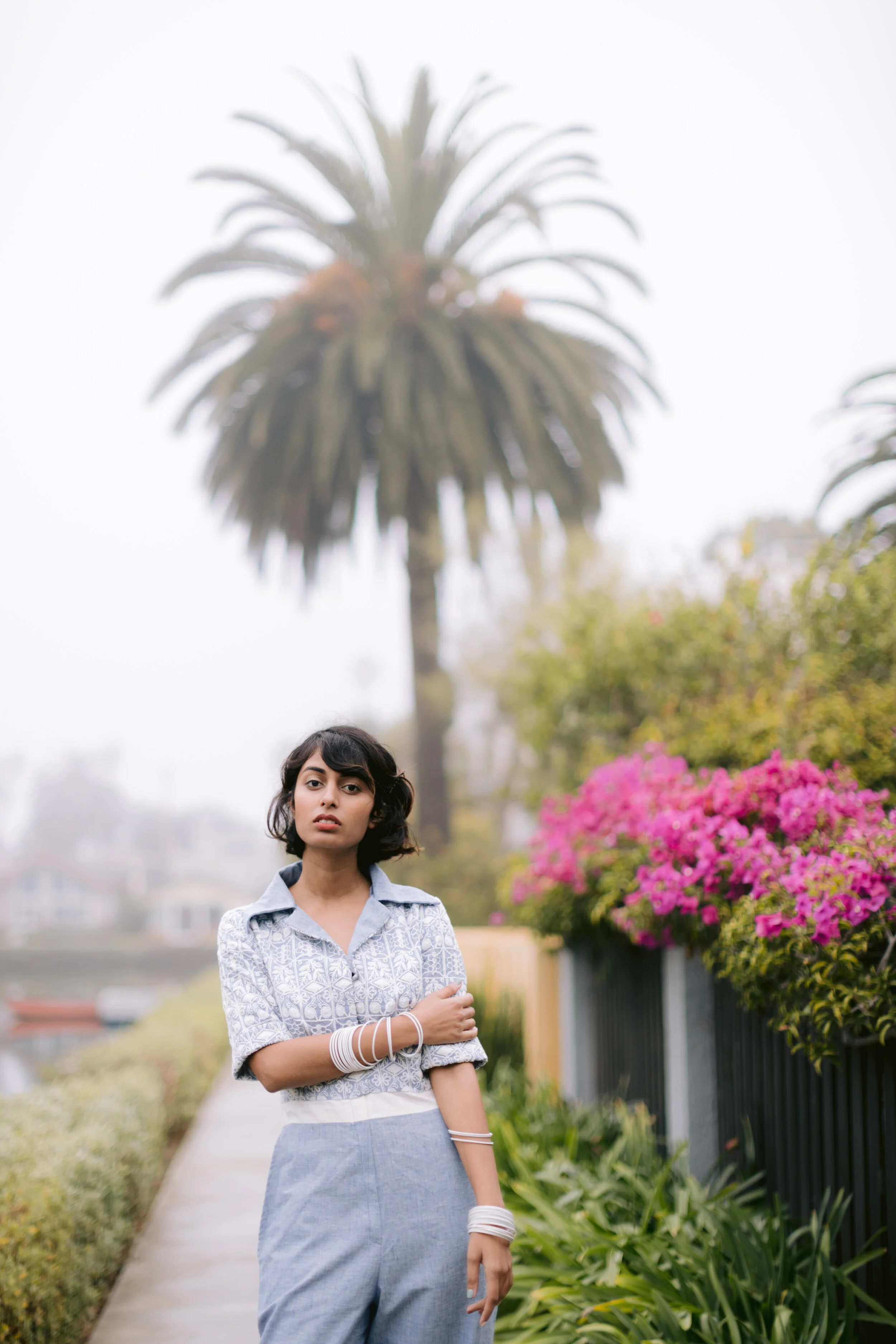 Editorial-Misha-Euceph-Venice-Canals-Palm-Tree.JPG