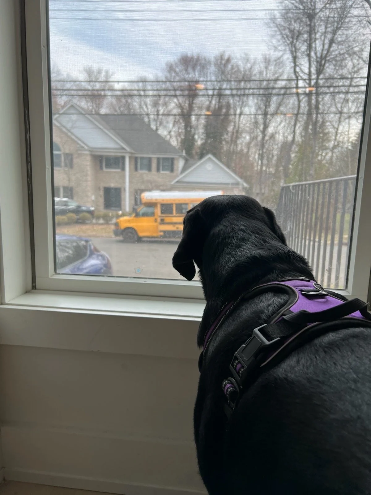IMG_6152.jpeg