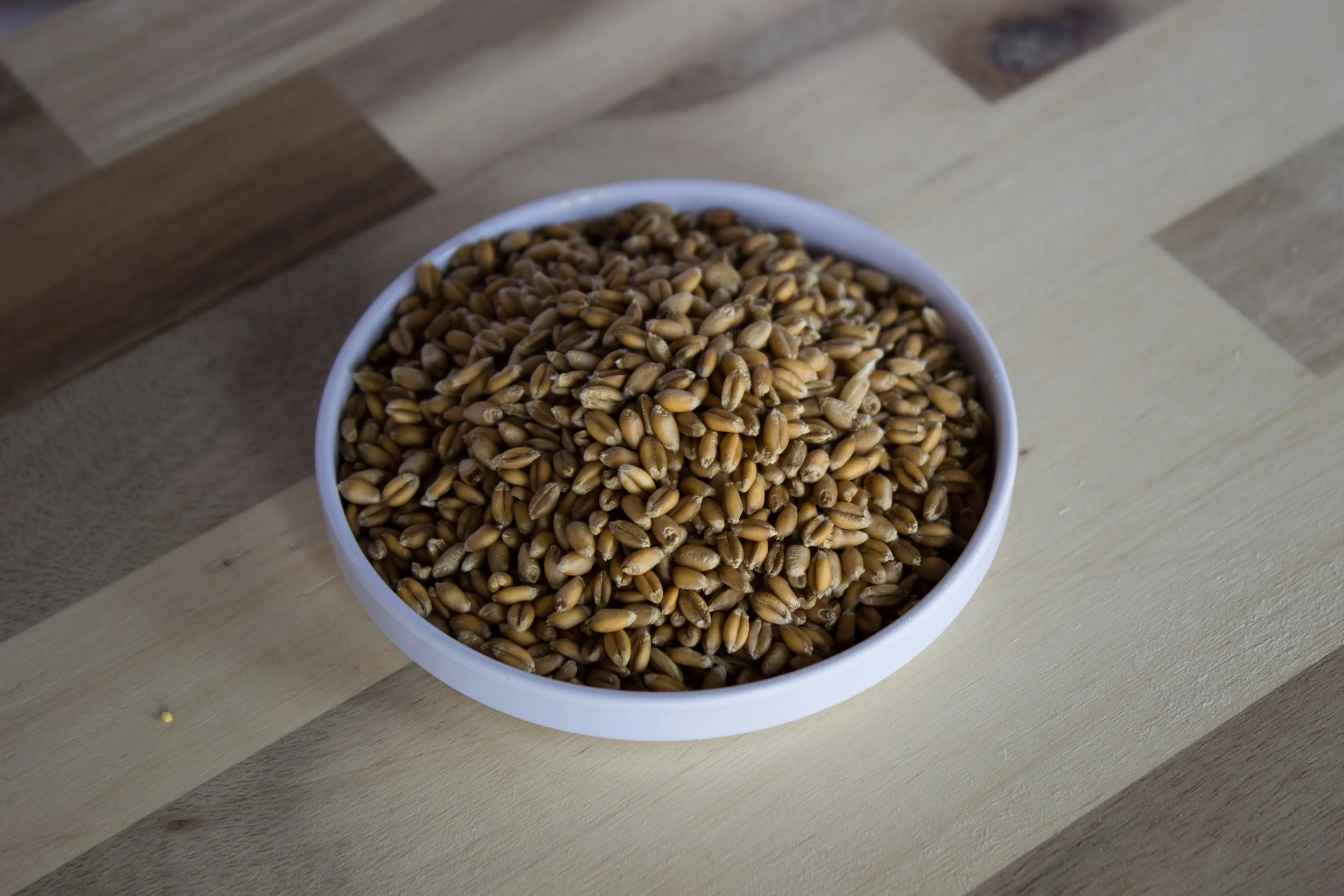 honey.vin.grain-13.jpg