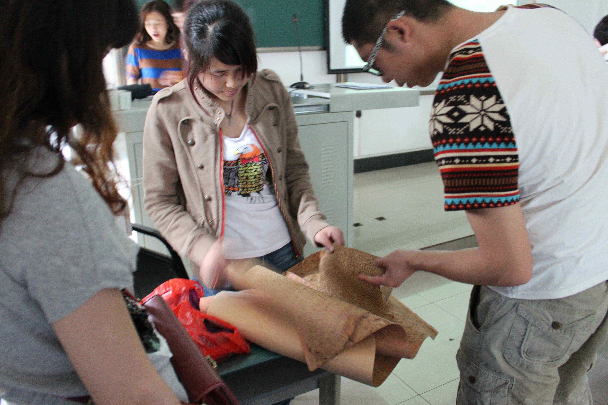 eda2013_lecture_sichuan-normal-university-3.jpg