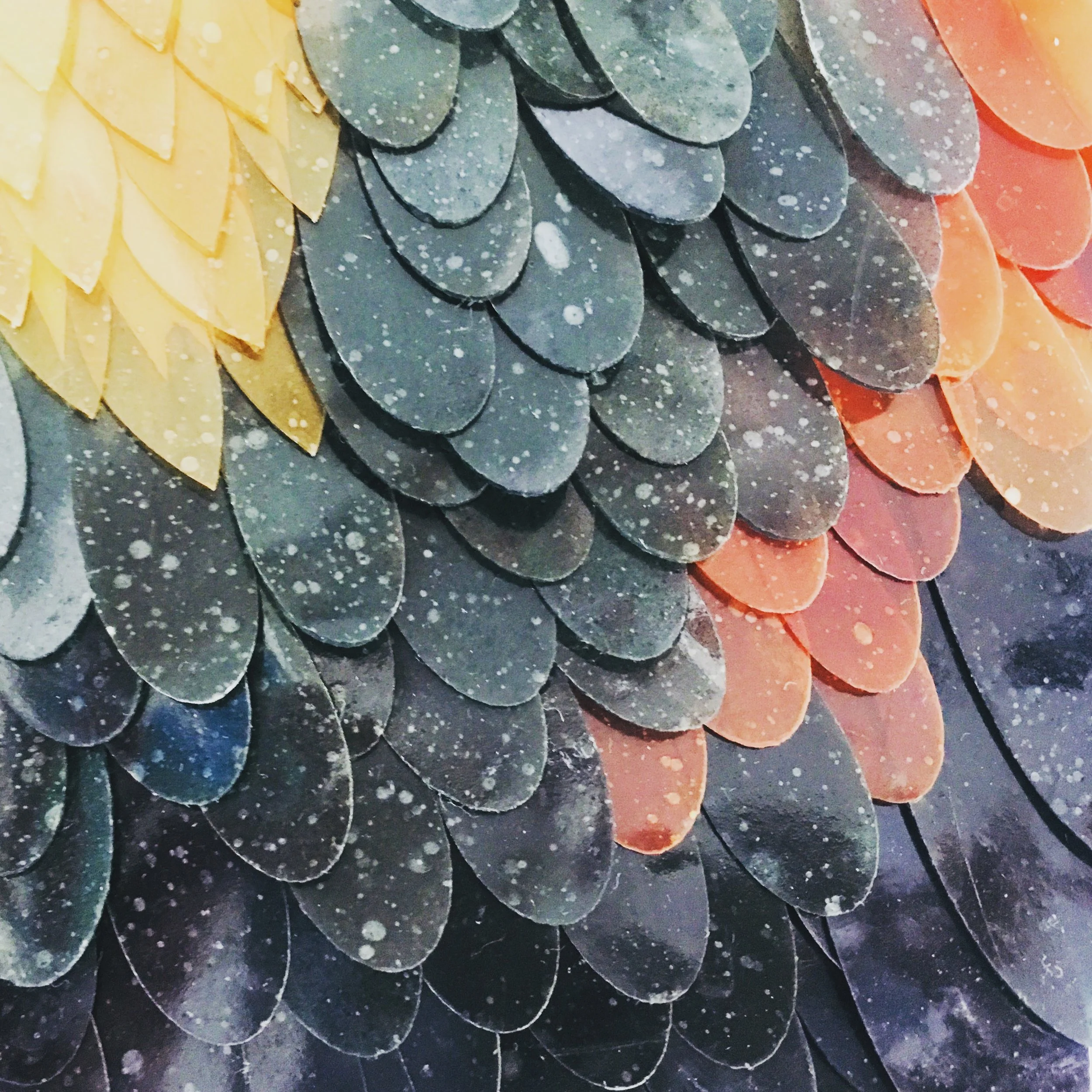 The Sustainable Sequin Company - Sequin development as part of MA Collection