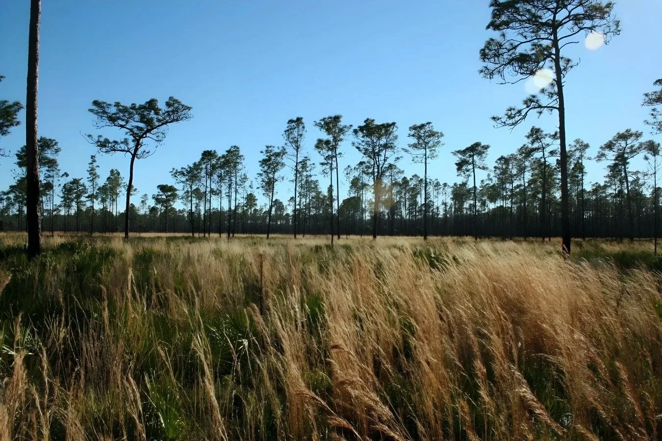 Resized Keith Fountain Front Page.jpg