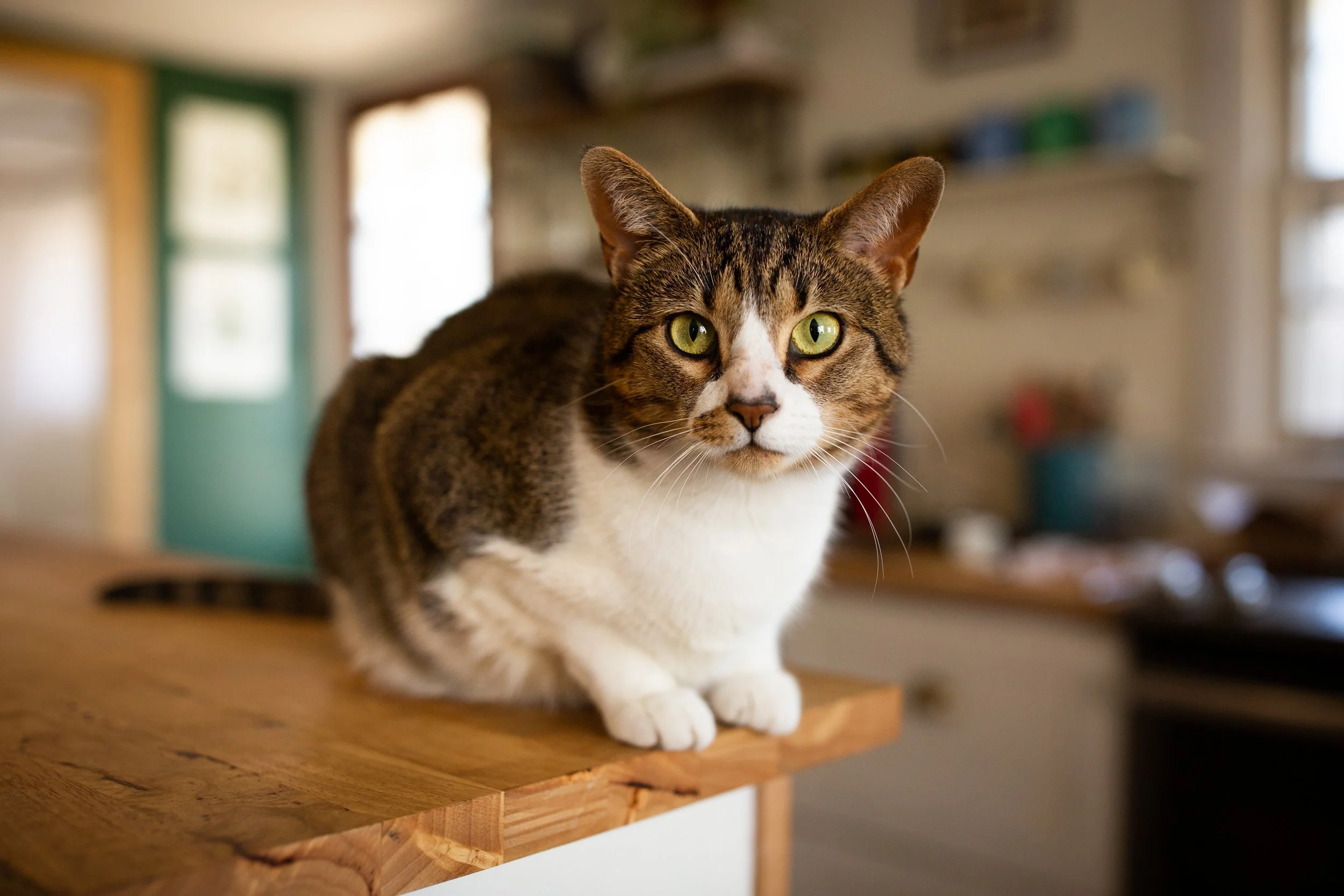 Photo Feb 18 2023, 11 17 41 AM.jpg