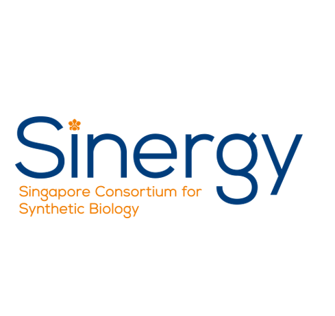 Meeting with the Singapore Consortium for Synthetic Biology