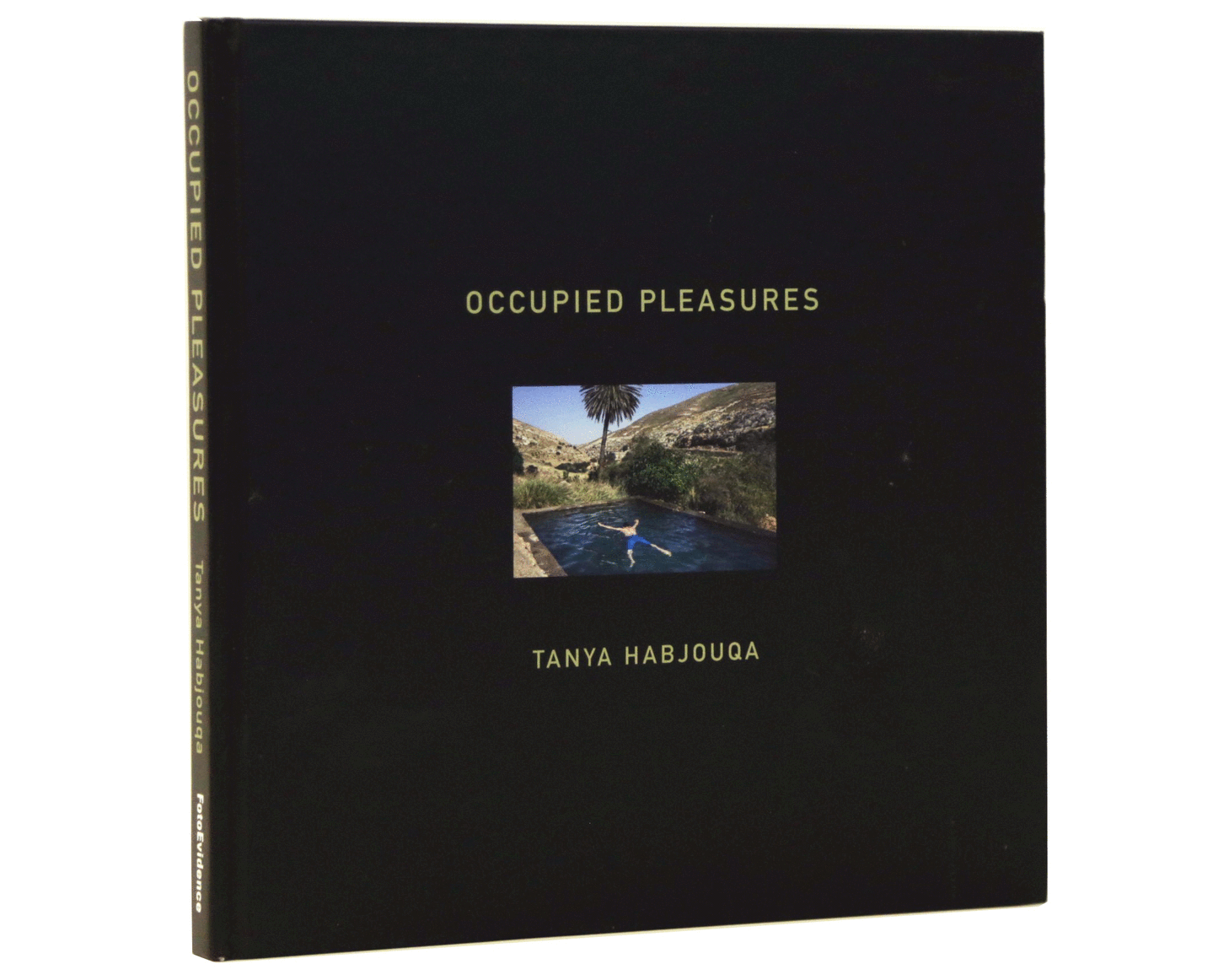 OccupiedPleasures1GIF.gif