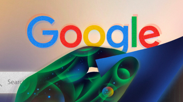 Goggle - Partnerships