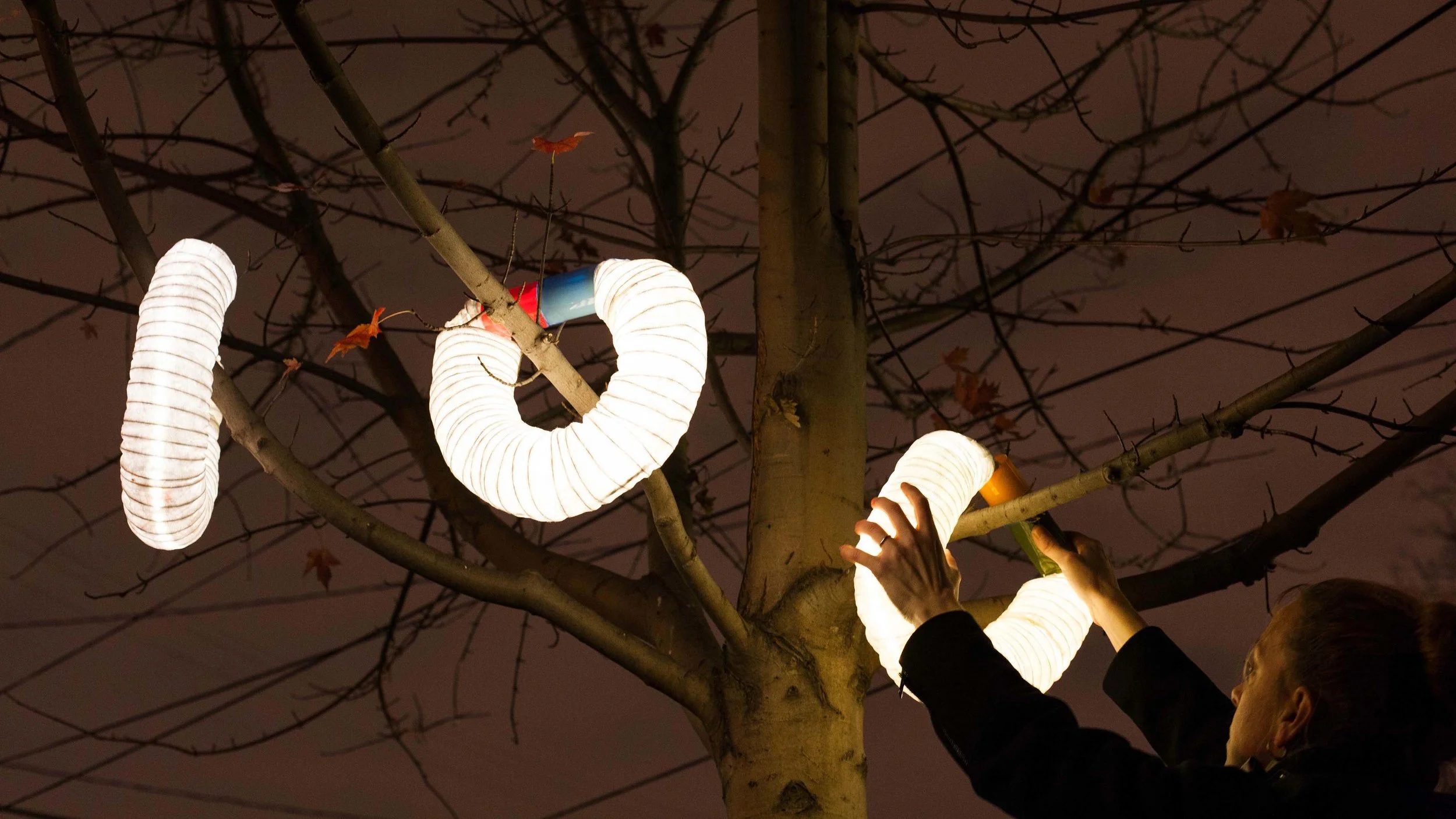 OldGoucherLights.jpg