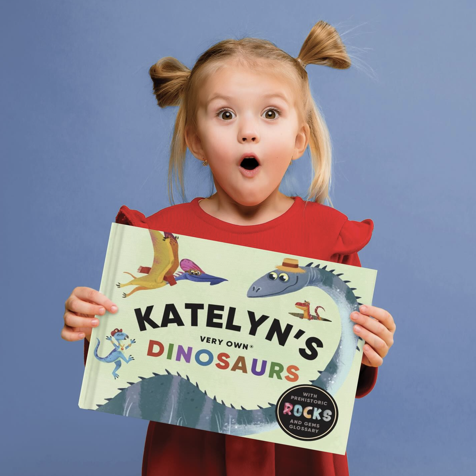 Screenshot 2024-11-20 at 1.54.09 PM.png