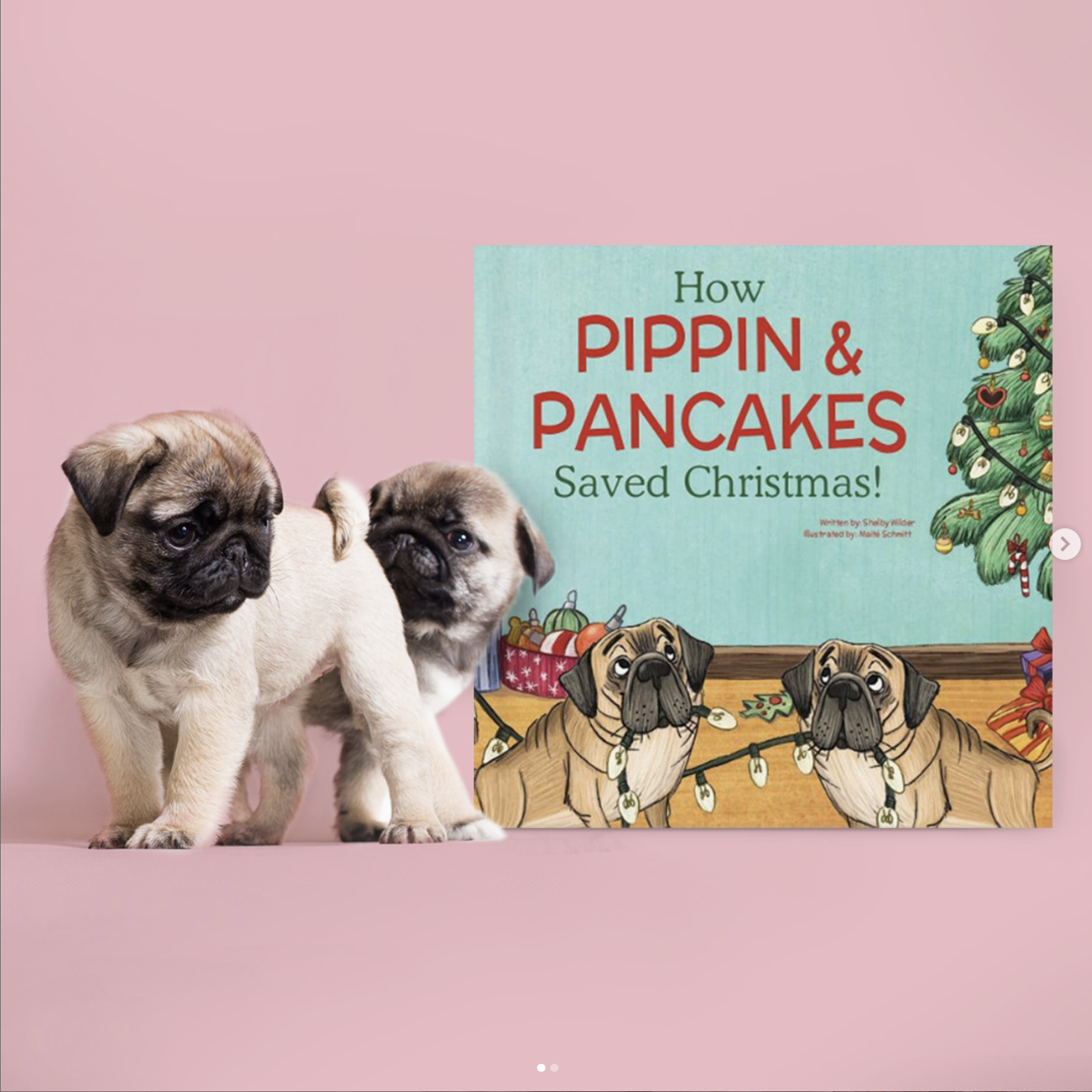 Screenshot 2024-11-20 at 1.57.42 PM.png