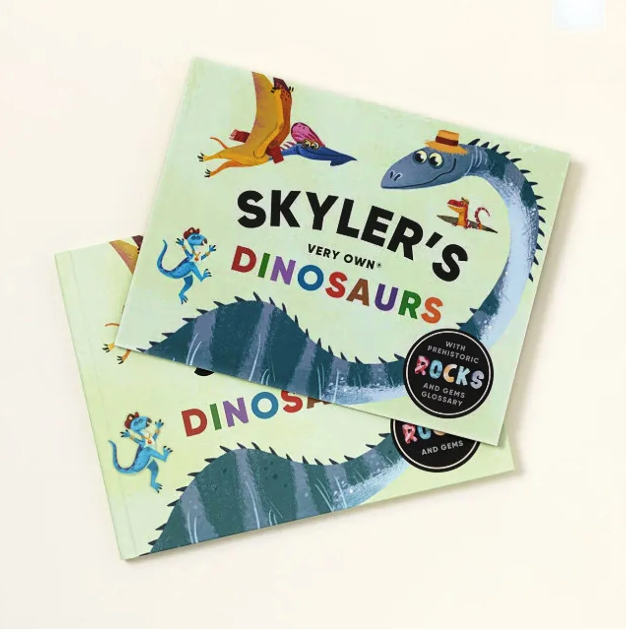 Screenshot 2025-02-23 at 10.34.53 PM copy.jpg