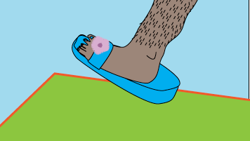 shoe.png